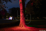 BG_2024_X3I2791