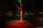 BG_2024_X3I2808