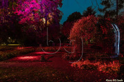 BG_2024_X3I2810