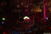 BG_2024_X3I2813