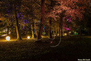BG_2024_X3I2815