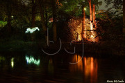 BG_2024_X3I2821