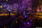 BG_2024_X3I2837