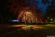 BG_2024_X3I2841
