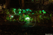 BG_2024_X3I2847
