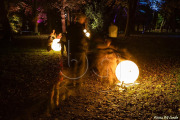 BG_2024_X3I2848