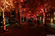 BG_2024_X3I2874