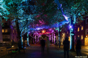 BG_2024_X3I2875