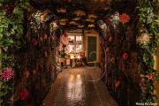 BG_2024_X3I2879