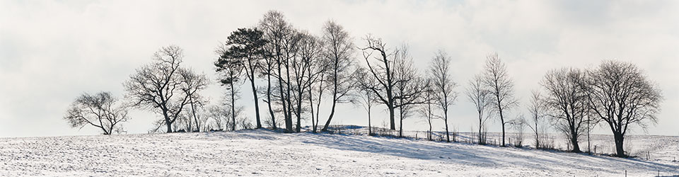 Vinterlandskap_960_X3I2035