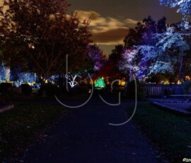 BG_2018_X3I1661