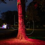 BG_2024_X3I2791