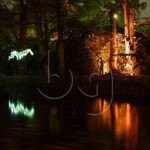 BG_2024_X3I2821