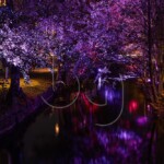 BG_2024_X3I2837