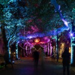BG_2024_X3I2875