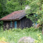 BG_2024_X3I9554