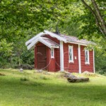BG_2024_X3I9555